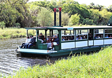 Myakka Wildlife Tours