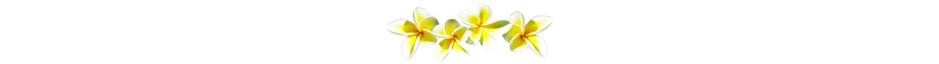 frangipani